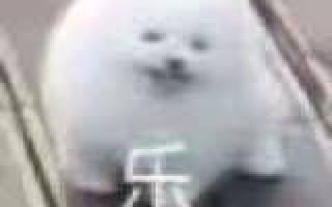 如何召唤光天使完成任务