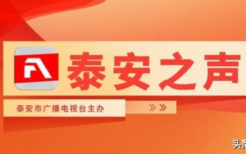 泰安市东岳中学（泰安市东岳中学简介）