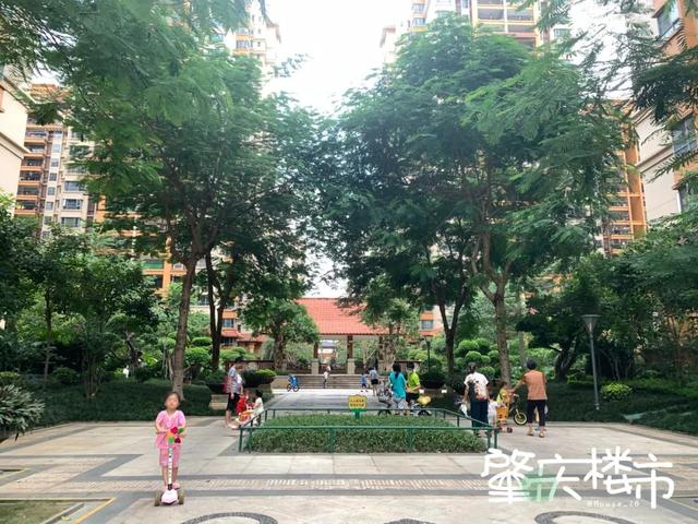 爆踩十六小学区房：二手比一手还要贵！咋回事？