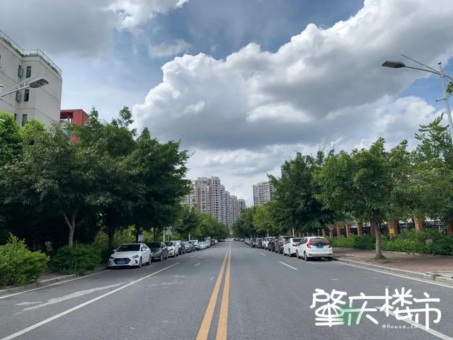 爆踩十六小学区房：二手比一手还要贵！咋回事？