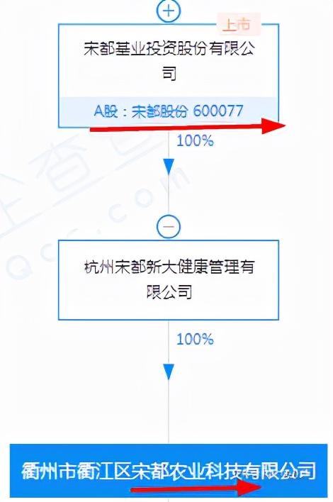 宋都股份：托育服务+月子会所+农业乡村振兴+太阳能光伏+锂电