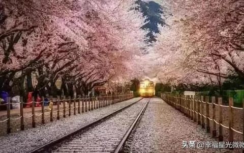 从你的全世界路过 寻找真正的爱与幸福