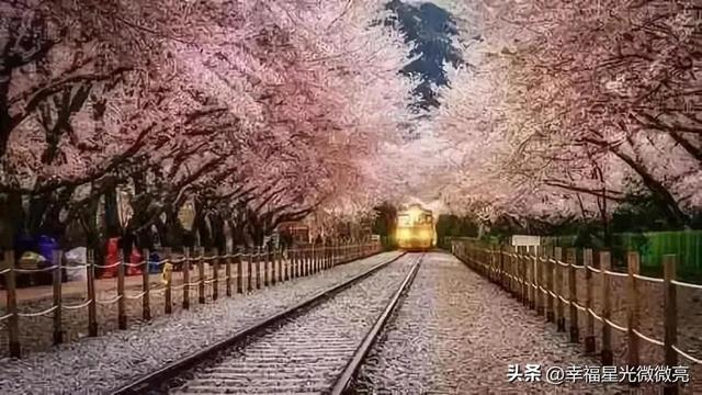 世上再美的风景，都不及回家的那段路