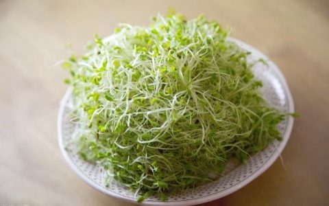 怎么样生青豆芽视频，怎样做绿豆芽长得快方法