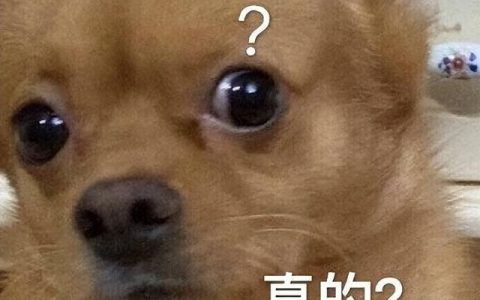 塘沽视觉剪发怎么样，金街啥意思