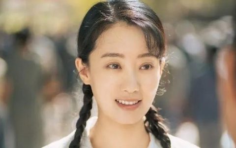 张小斐门事件后果及影响