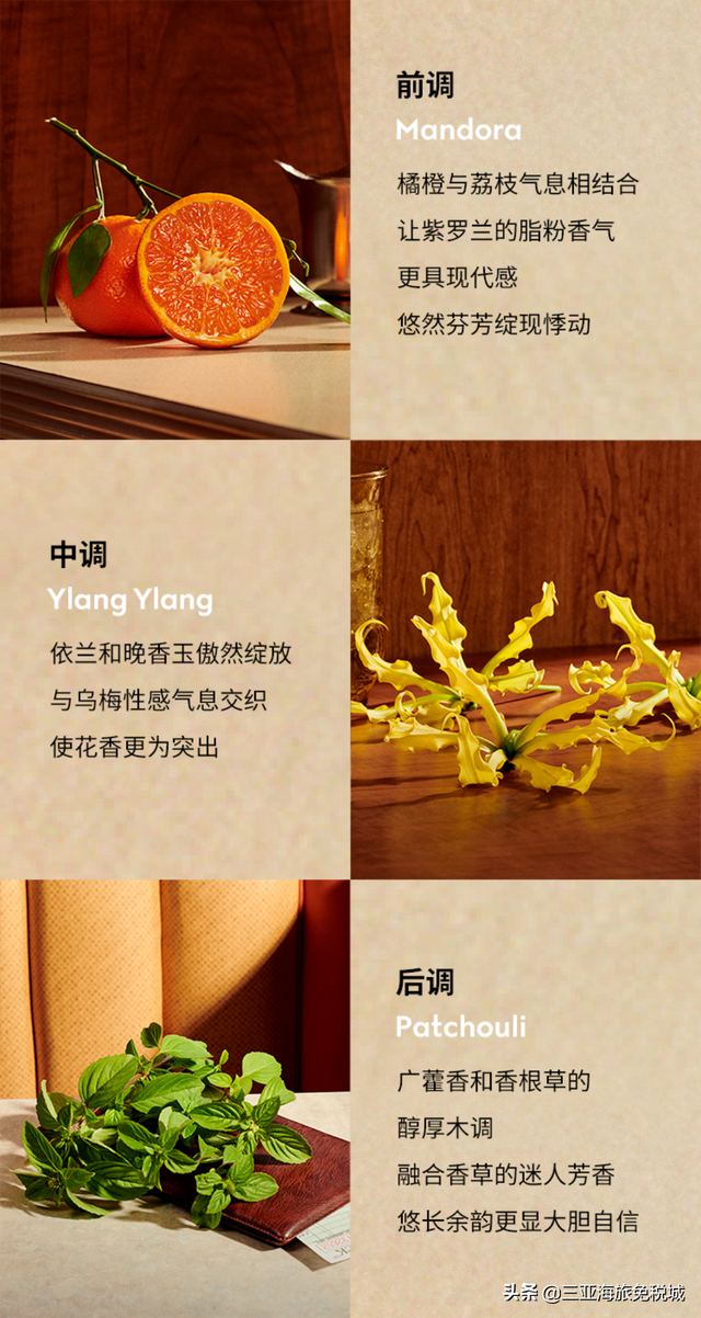 GUCCI | 罪爱燃情