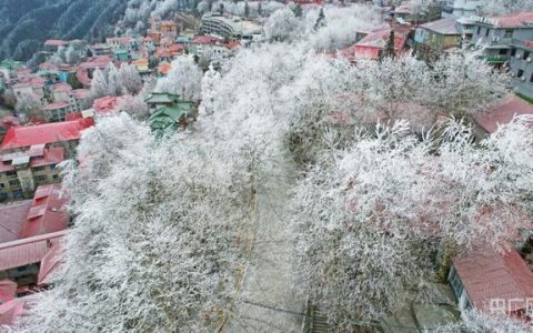 庐山的春天怎么样，庐山牯岭在哪里