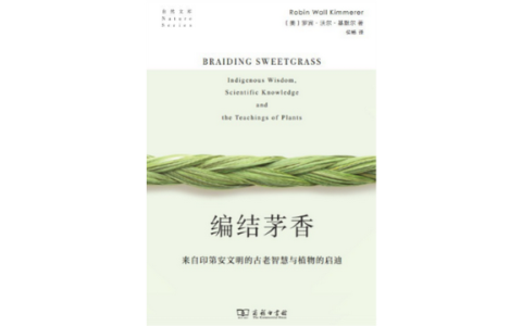 一生之水蓝色版怎么样，北美乔松