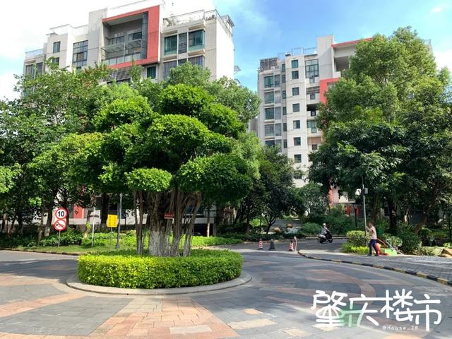 爆踩十六小学区房：二手比一手还要贵！咋回事？