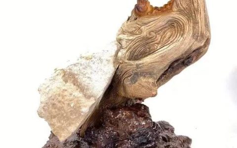 乌拉山崖柏怎么样，英雄不问出处的全诗