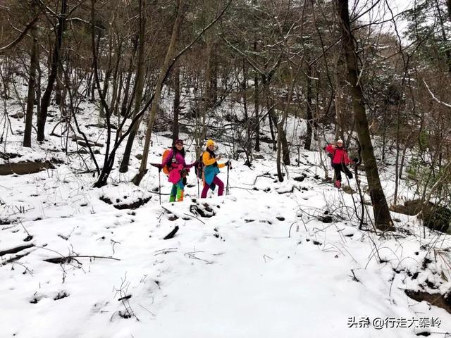 「23」林海雪原 冰雪盛宴——2020.01.12沣峪大坝沟穿越小坝沟