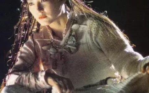 塞外奇侠传小说下载免费阅读