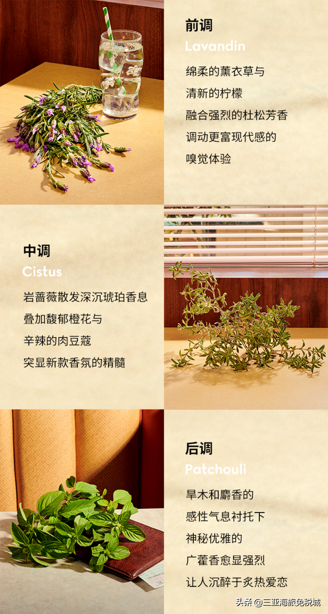 GUCCI | 罪爱燃情