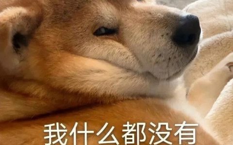狗狗东西在我的下面越来越大（汪汪欢乐：狗狗世界大发展）