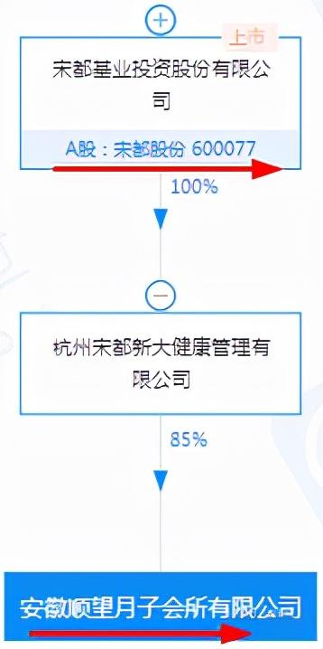 宋都股份：托育服务+月子会所+农业乡村振兴+太阳能光伏+锂电