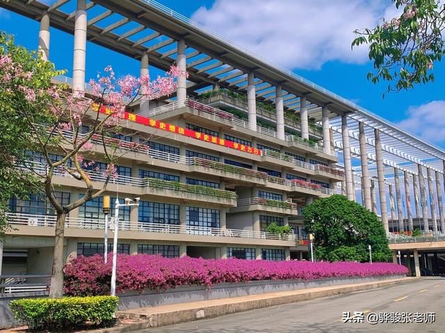 学工科报考工业大学，这5所工大性价比高，录取分数分别是多少？
