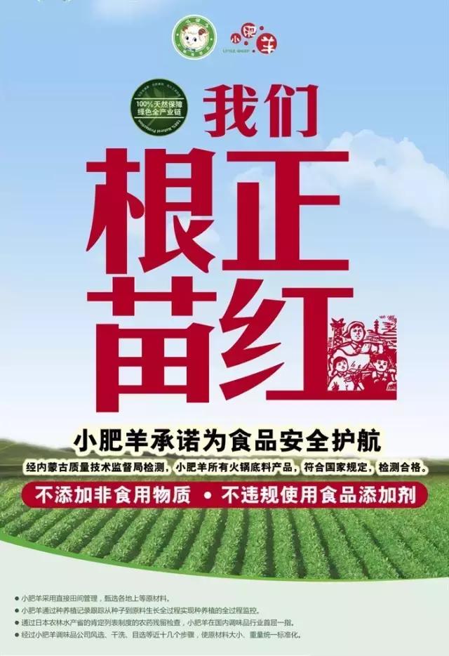 在海底捞有望突破百万营收之际，我想起了小肥羊