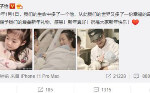 章子怡二胎产子 幸福家庭图片