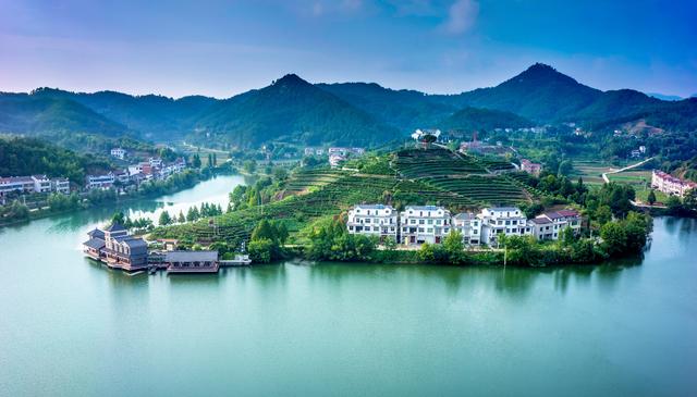 英山县是湖北茶叶第一县