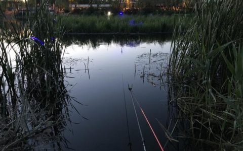 尚艺东美并继竿怎么样，夜钓上鱼视频