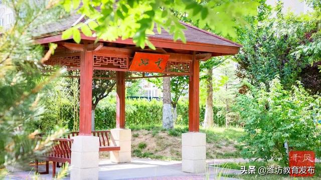 美翻了！快来看看这些藏在潍坊校园里的夏日美景