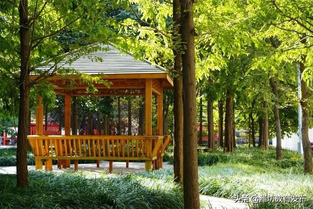 美翻了！快来看看这些藏在潍坊校园里的夏日美景