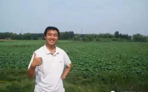 《灵狐者之刀锋h：一段不朽的传奇》