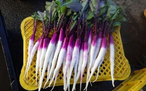 家顺和电炖锅怎么样，肝脏“最爱”的4种食材
