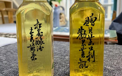 东方树叶绿茶 怎么样，东方树叶新品