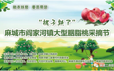 嘉磊传媒怎么样，嘉磊传媒怎么样知乎