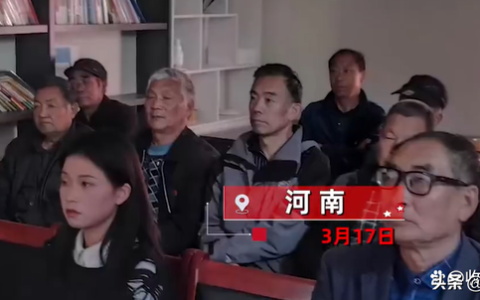22岁女子回村1天被安排20场相亲（22岁女子回乡山正式开启相亲之旅）