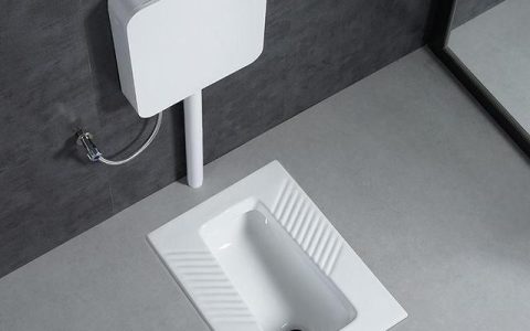 塑料蹲便器质量怎么样，蹲厕陶瓷样品