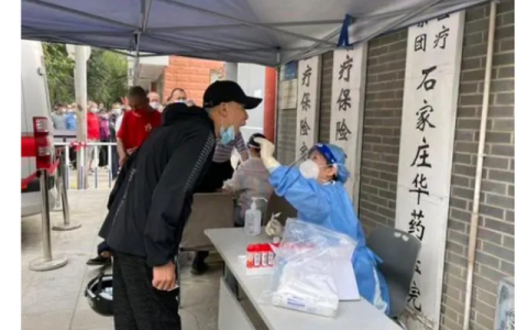 石家庄核酸公司被查（石家庄核酸公司被查）