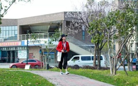浙江树人大学教务处(浙江树人大学教务处主任金)