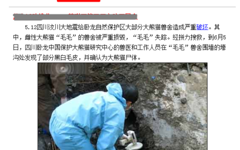08地震死了多少熊猫（2008年地震对熊猫造成的伤亡情况）