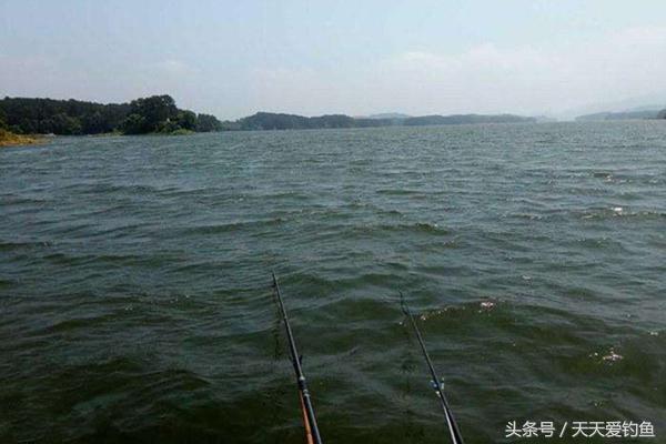 野钓浮漂应如何选择？如何保证灵敏度，又减少闹小鱼