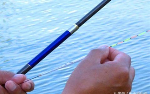 小鱼王浮漂怎么样，野钓浮漂怎么选