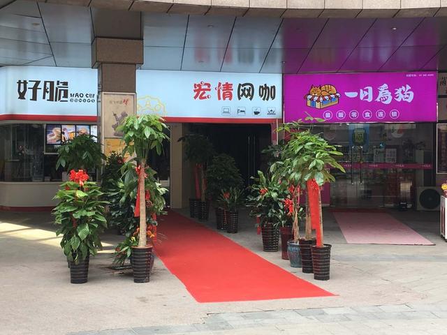 实探合肥4大运营不善商业体现状 是继续沉沦还是“变身”求存？