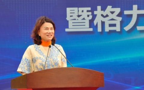临沂新元电器怎么样，格力南京生产基地项目