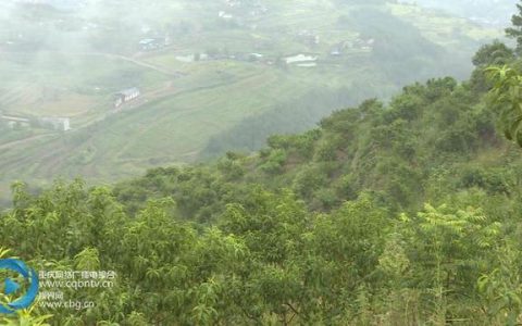 开县欧华瓷砖怎么样，认养农场app开发