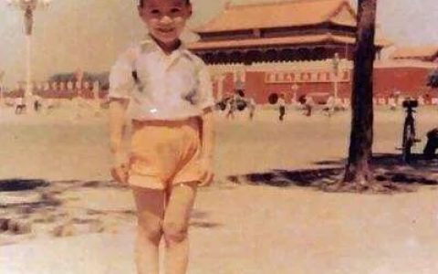 王祖贤个人简历资料（王祖贤个人履历）