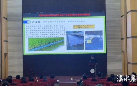 宜城郑集房子怎么样，用知识武装头脑,用担当谱写辉煌