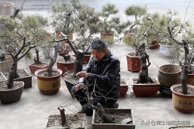 山西农民把石头卖上高价钱，1组文字石10万元，看是啥内容