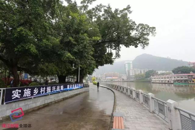 重振南海虎威！书记区长巡查7个镇街9个重点项目
