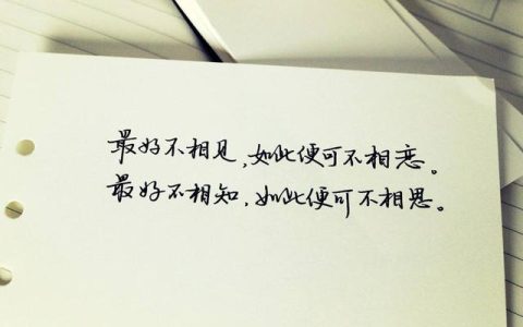 但曾相见便相知 相见何如不见时（不见不忘）
