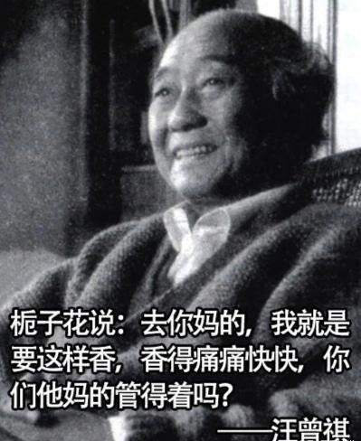 大文豪毒舌语录，骂人不带脏字，你学到了吗