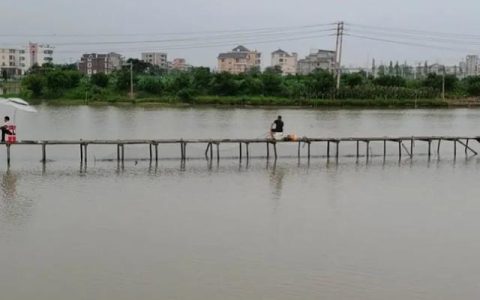东美钓具怎么样，钓鱼装备太多怎么办