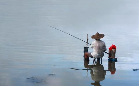 小稻穗鱼竿怎么样，小稻穗鱼竿怎么样好用吗