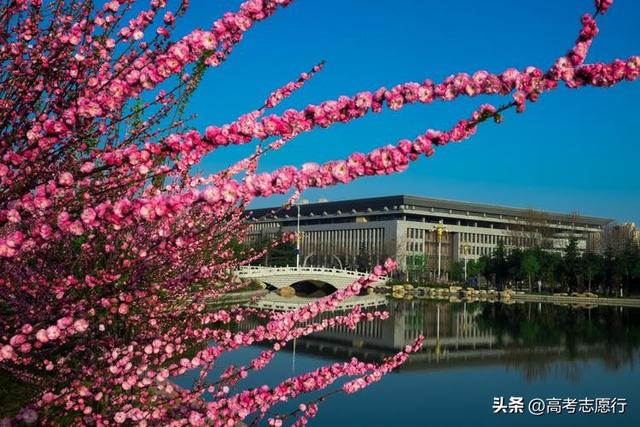 在高等教育强省，想选1所公办二本工科大学，实在不容易